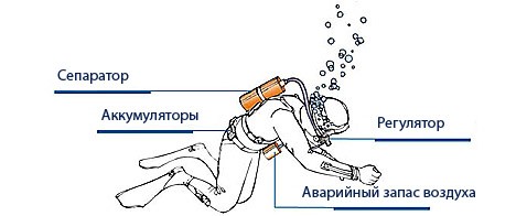 Быстрое вращение позволит людям превращаться врыб