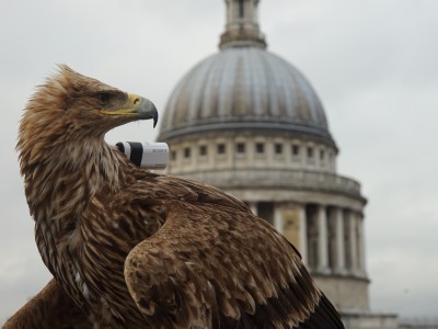Лондон с высоты птичьего полёта с sony action cam mini