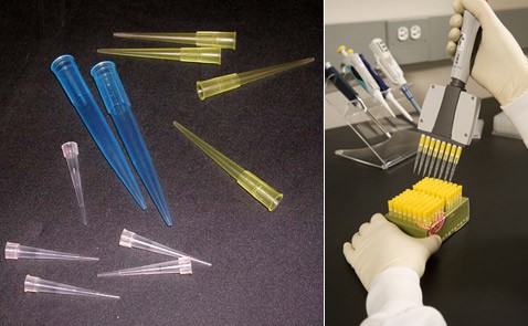 Пластиковые пробирки поставили под сомнение все биологические эксперименты