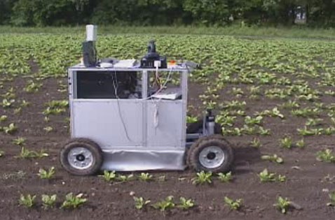 Сельский робот lukas узнаёт урожай и выдергивает сорняки