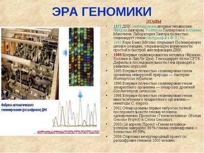 Стартовал международный проект расшифровки геномов 1000 человек